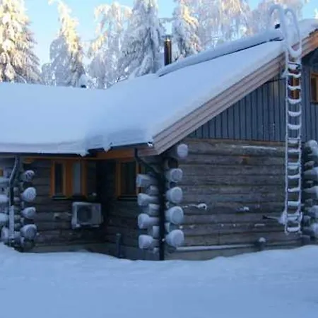 Kelotulkku * Muurame